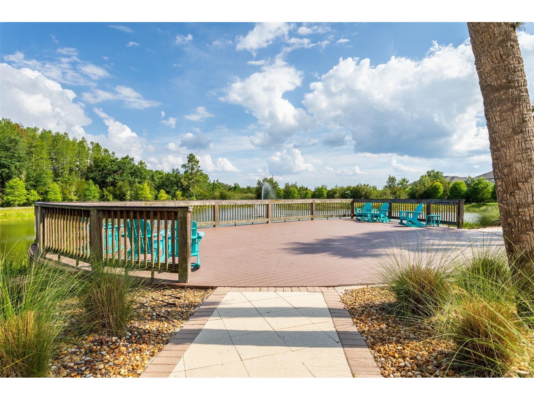 30090 Southwell Lane Wesley Chapel FL 33543 TB8502803 image28