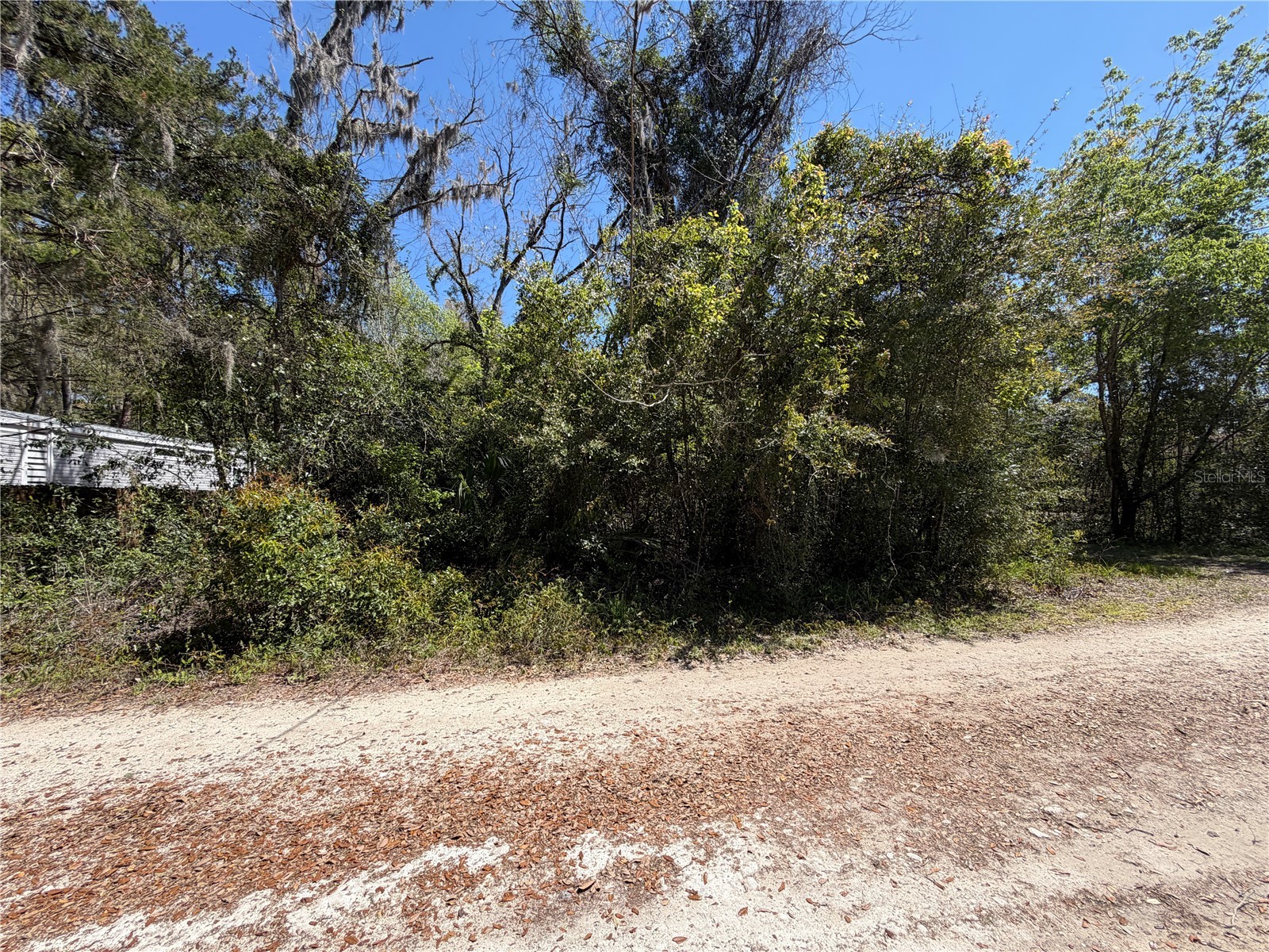 300blk NW 245th Terrace Newberry FL 32669 GC538467 image1
