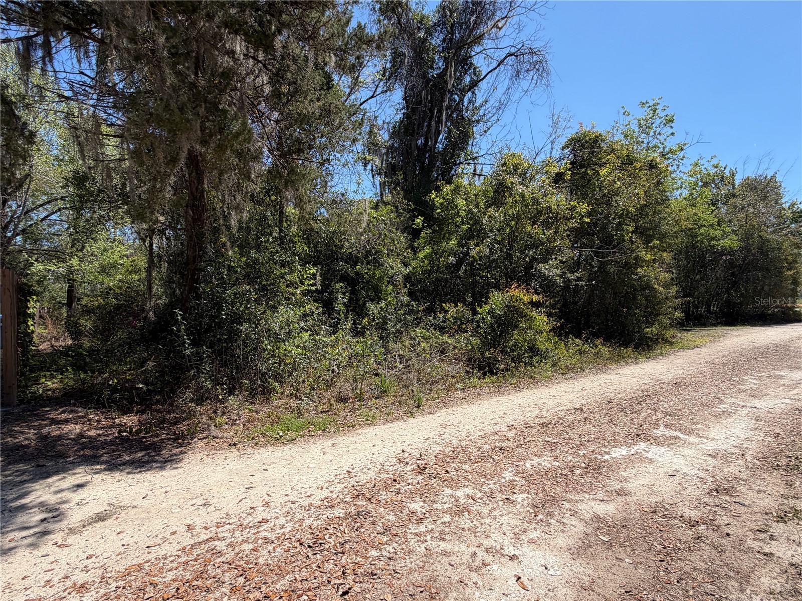 300blk NW 245th Terrace Newberry FL 32669 GC538467 image2