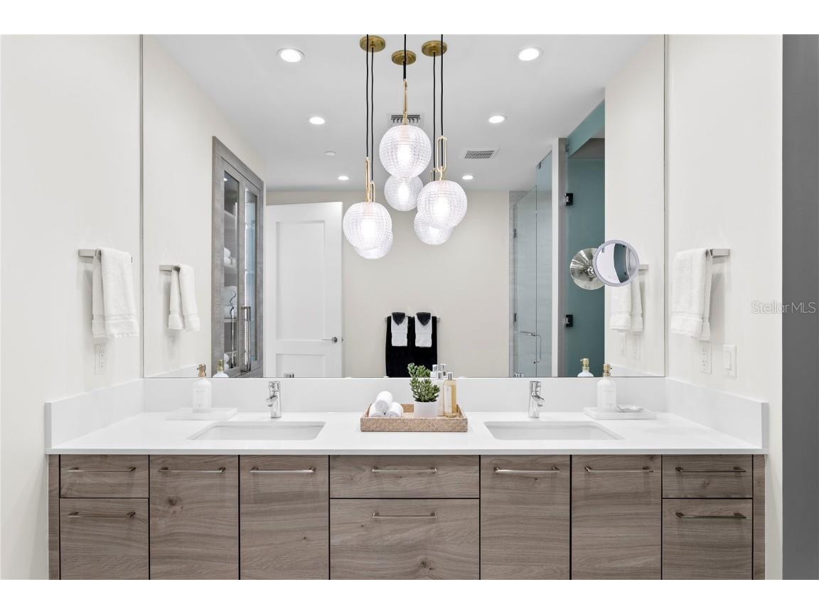 301 1st Street S #1002 Saint Petersburg FL 33701 - TAMPA BAY TB8433829 image28