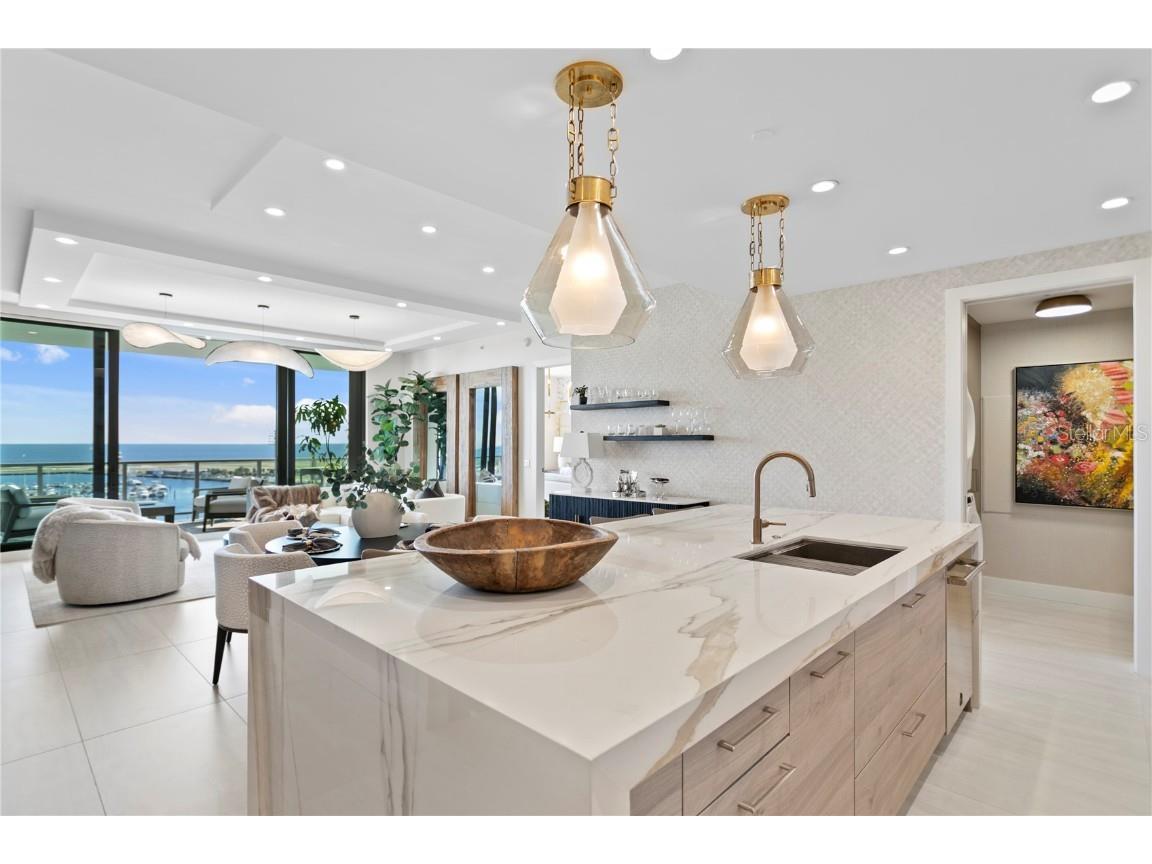 301 1st Street S #1002 Saint Petersburg FL 33701 - TAMPA BAY TB8433829 image39