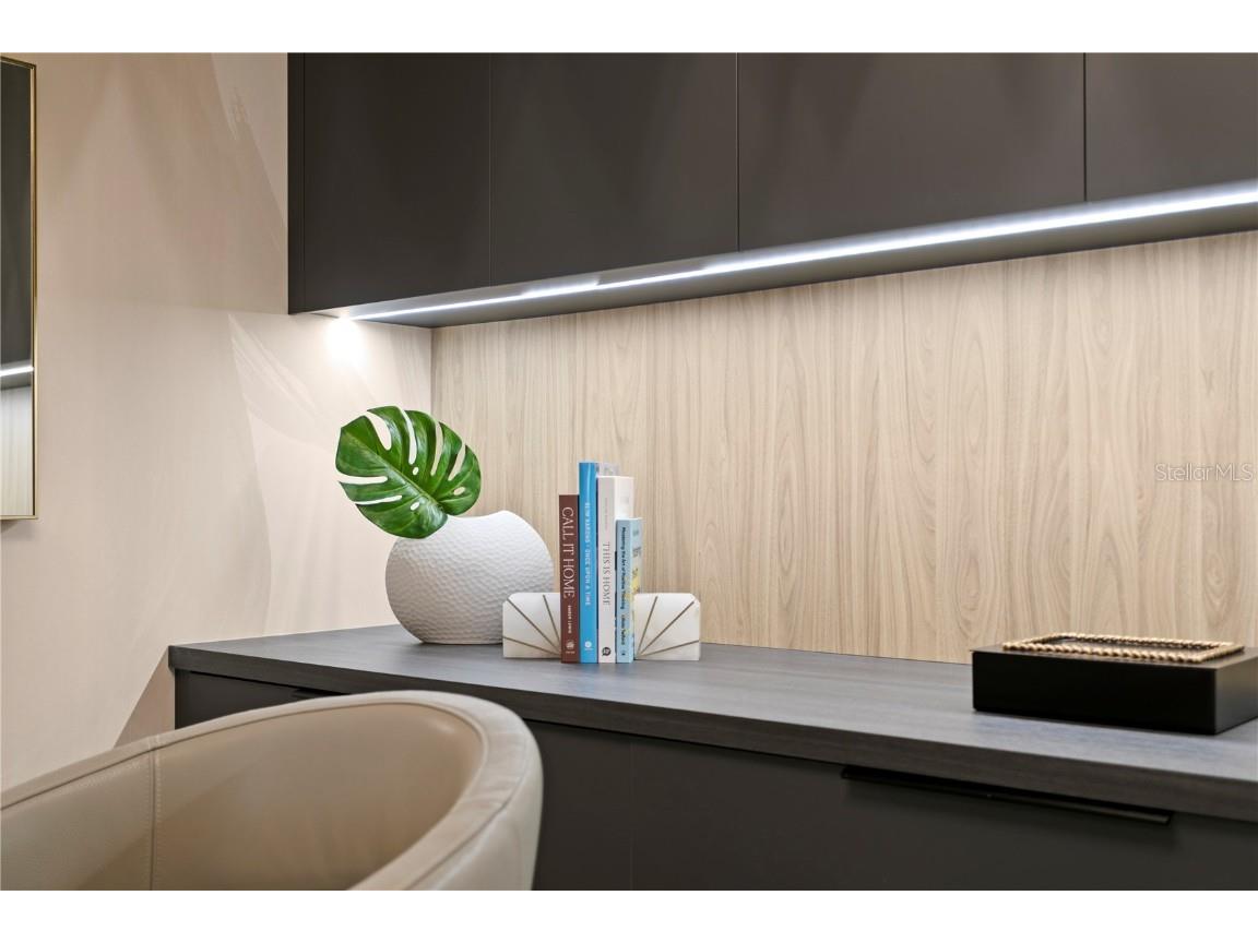 301 1st Street S #1002 Saint Petersburg FL 33701 - TAMPA BAY TB8433829 image49