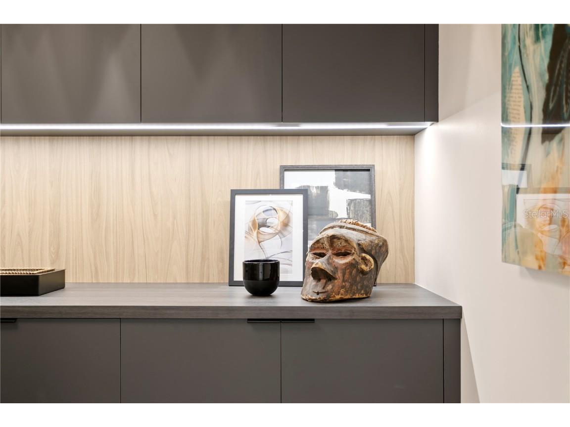 301 1st Street S #1002 Saint Petersburg FL 33701 - TAMPA BAY TB8433829 image50