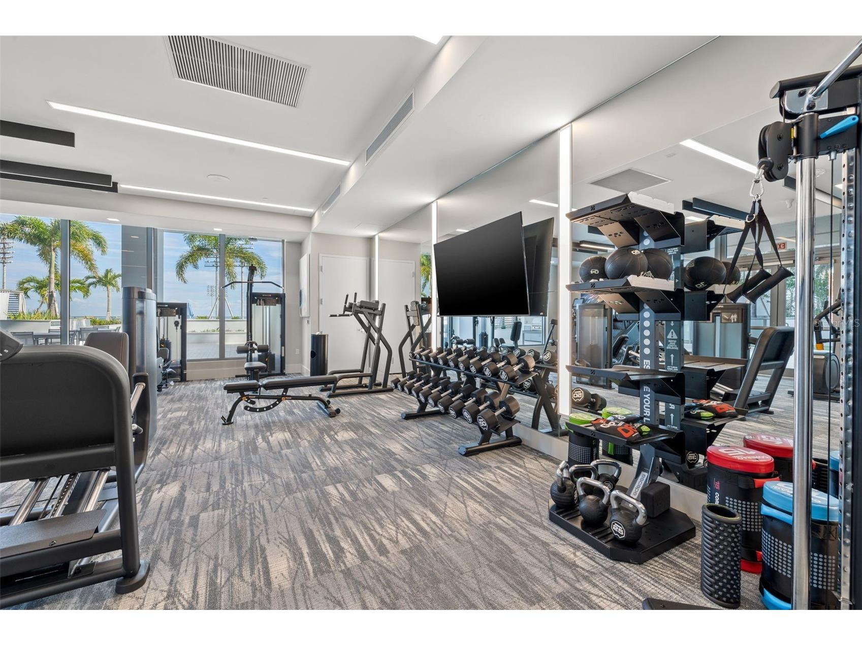 301 1st Street S #1505 Saint Petersburg FL 33701 - TAMPA BAY TB8465574 image48