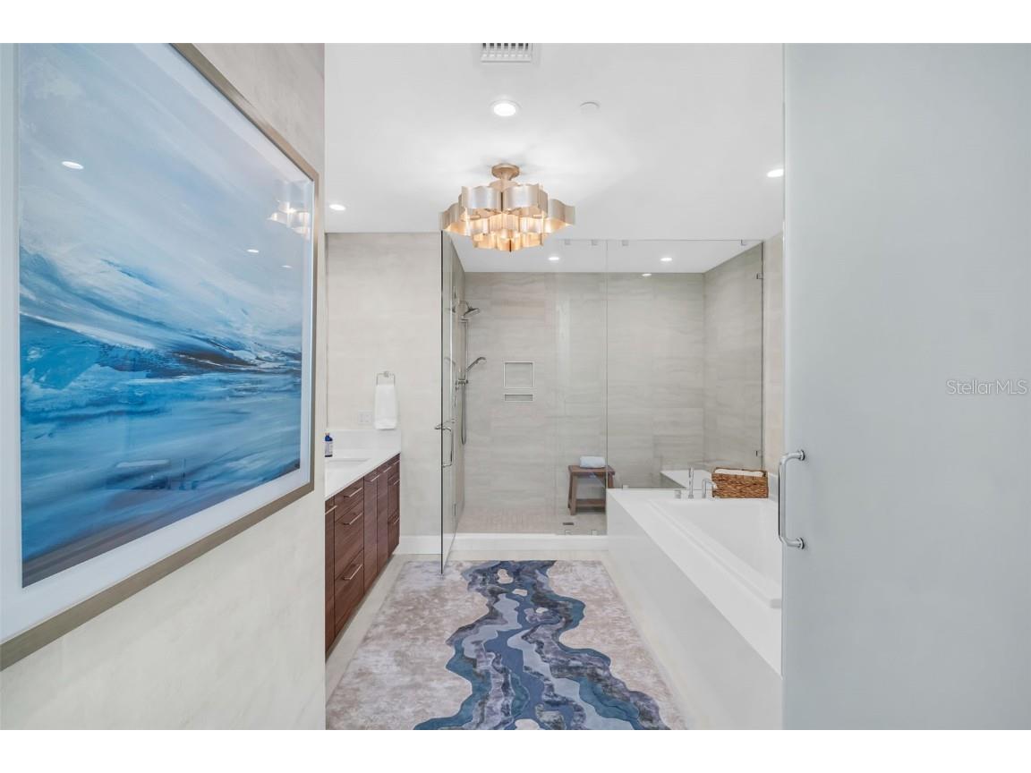 301 1st Street S #1807 Saint Petersburg FL 33701 - TAMPA BAY TB8449428 image21