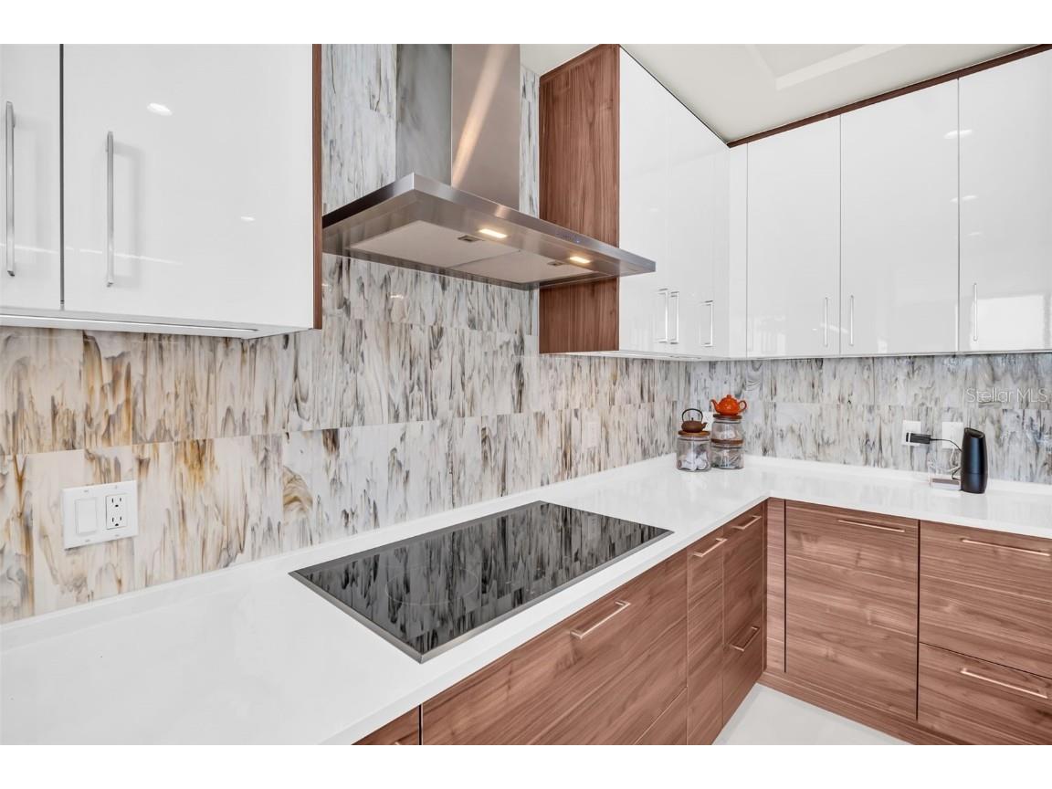 301 1st Street S #1807 Saint Petersburg FL 33701 - TAMPA BAY TB8449428 image28