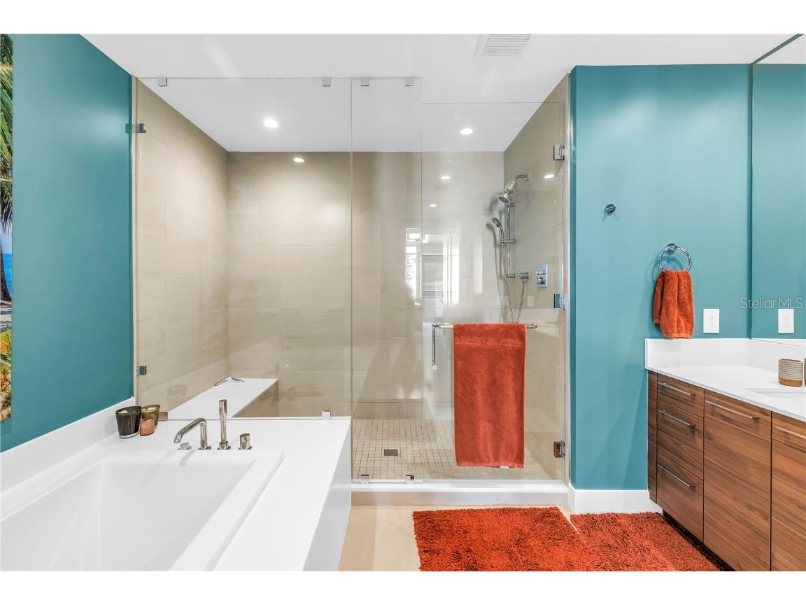 301 1st Street S #2504 Saint Petersburg FL 33701 - TAMPA BAY TB8449110 image37