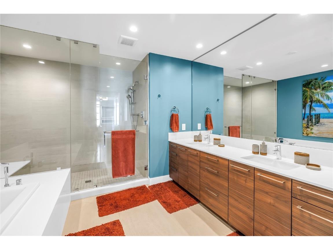 301 1st Street S #2504 Saint Petersburg FL 33701 - TAMPA BAY TB8449110 image41