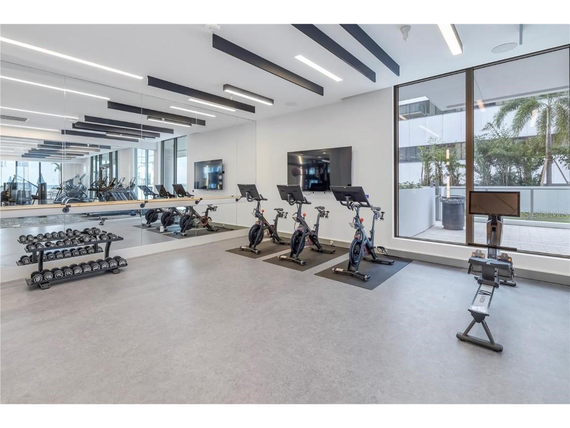 301 1st Street S #3103 Saint Petersburg FL 33701 - TAMPA BAY TB8462046 image54