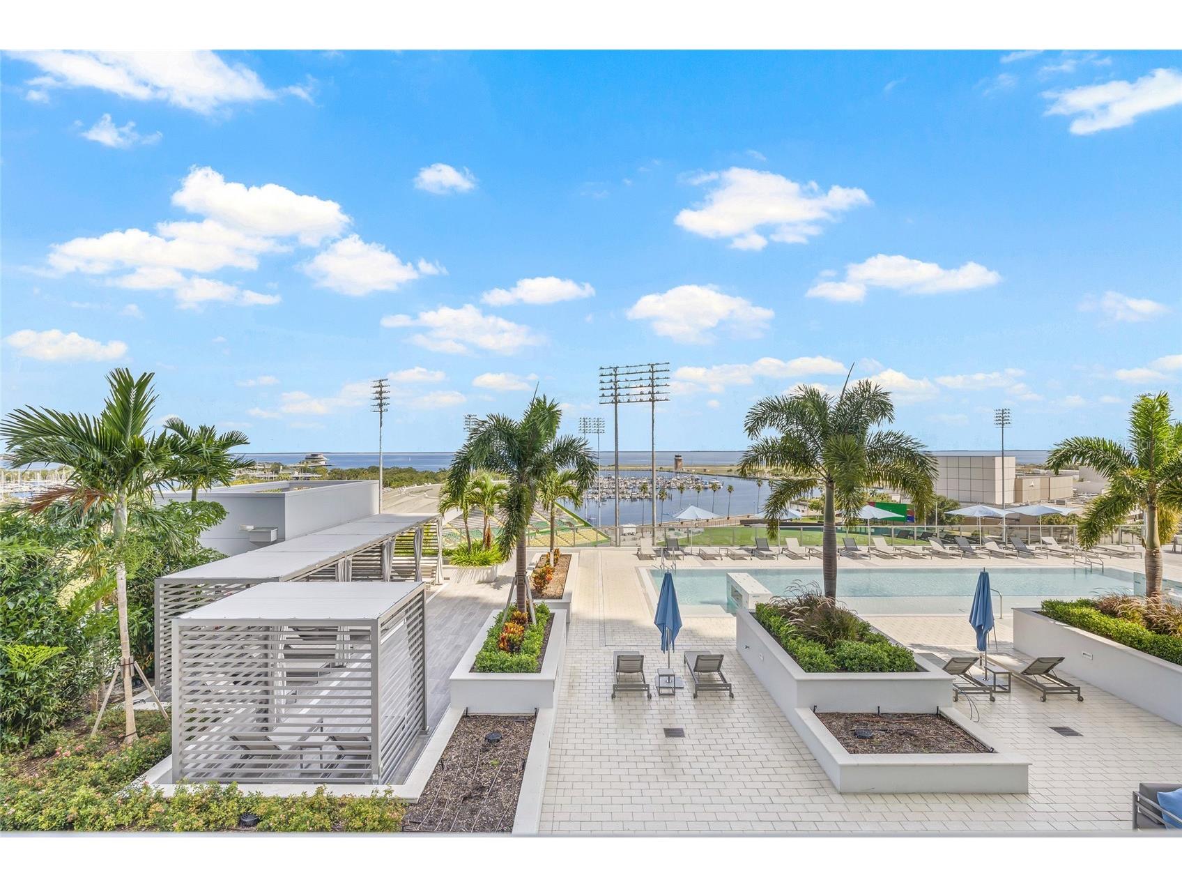 301 1st Street S #803 Saint Petersburg FL 33701 - TAMPA BAY TB8430653 image41