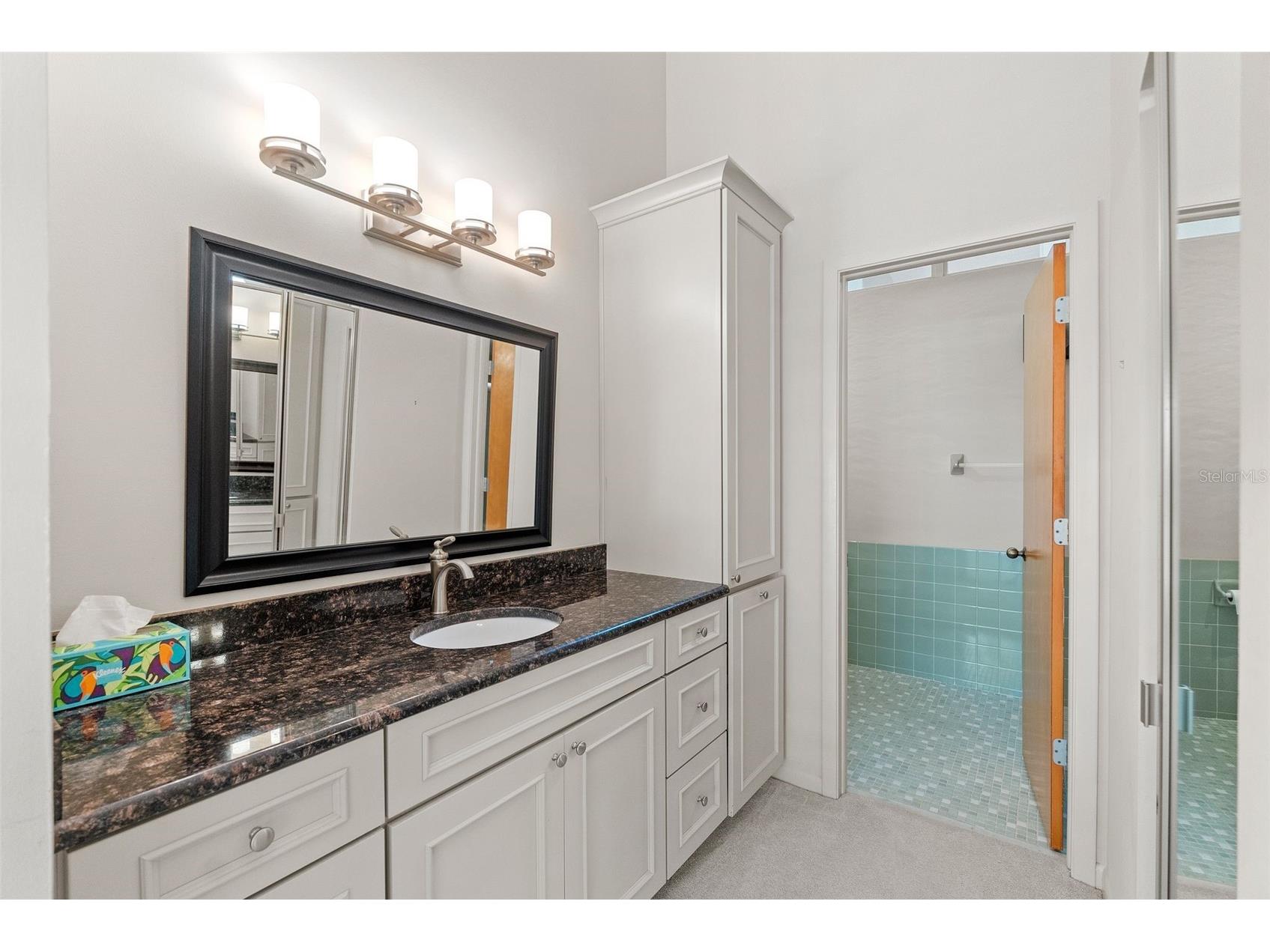 301 2nd Street N #13 Saint Petersburg FL 33701 TB8378623 image20