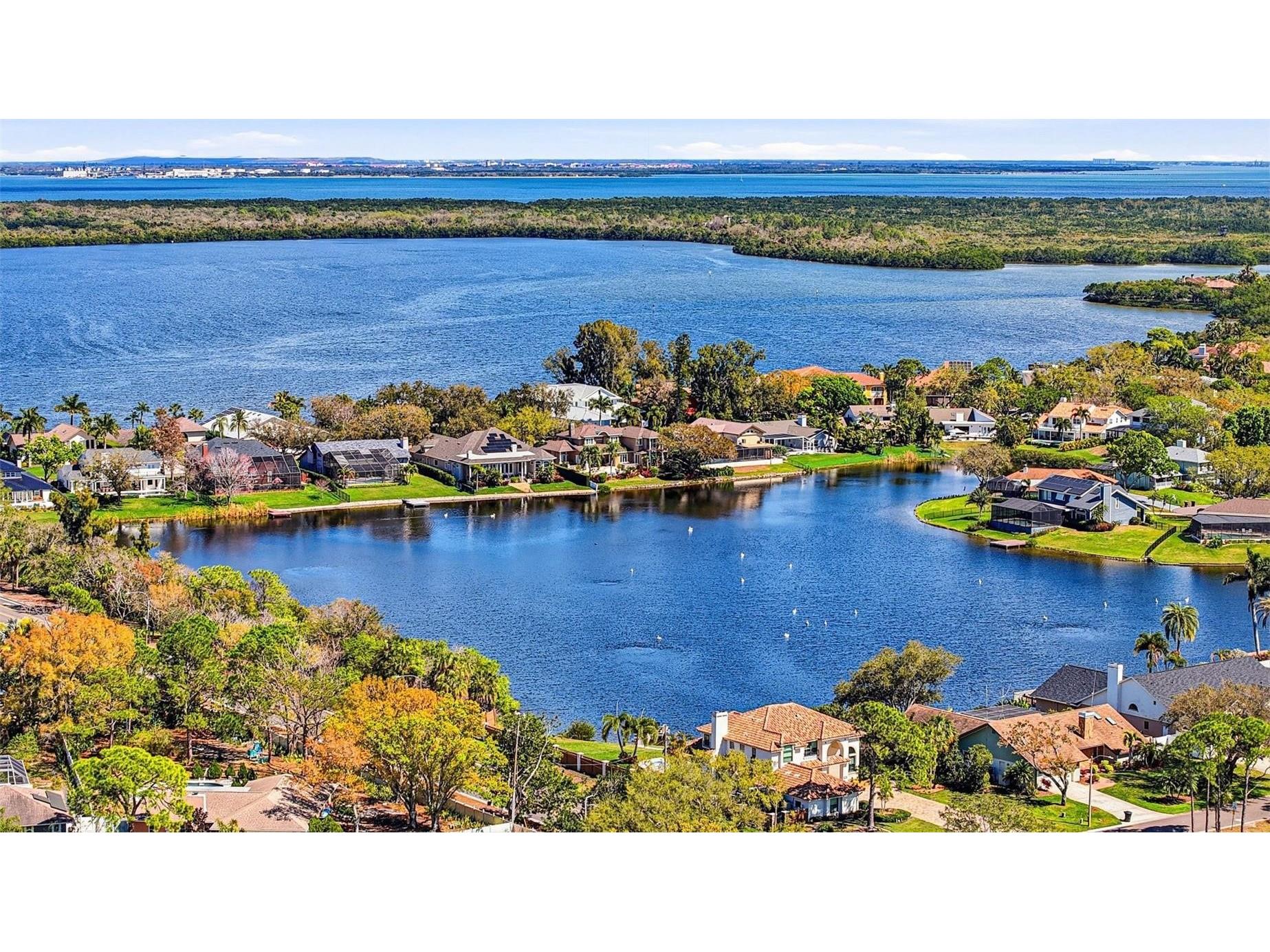 301 81st Avenue NE Saint Petersburg FL 33702 TB8520248 image47