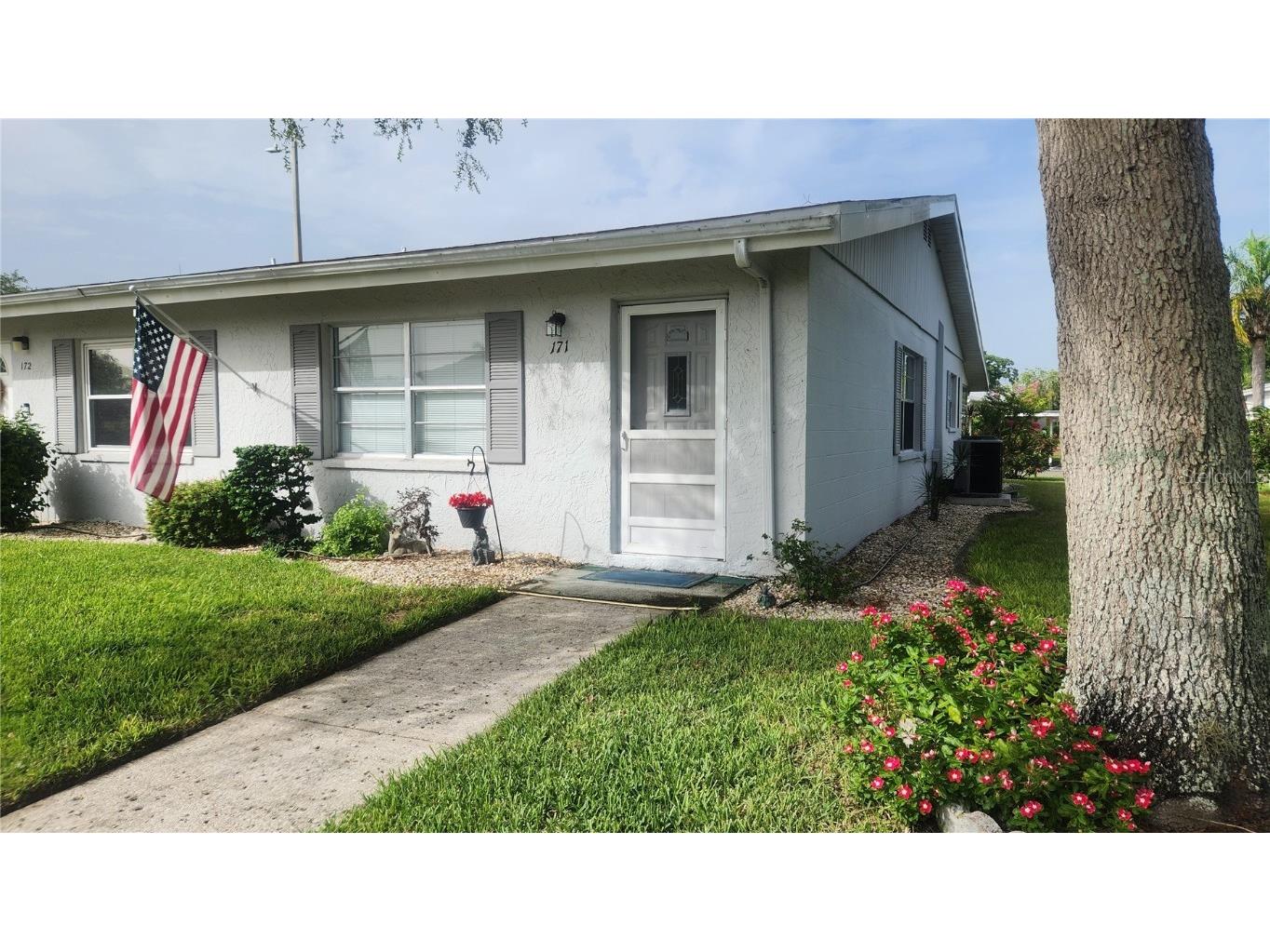 301 Andover Place S #171 Sun City Center FL 33573 T3540786 image1