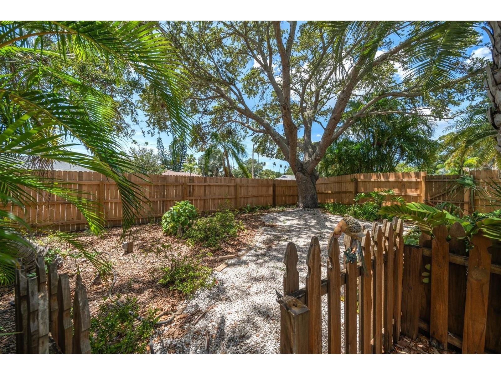 301 Cevera Drive Dunedin FL 34698 TB8501978 image27