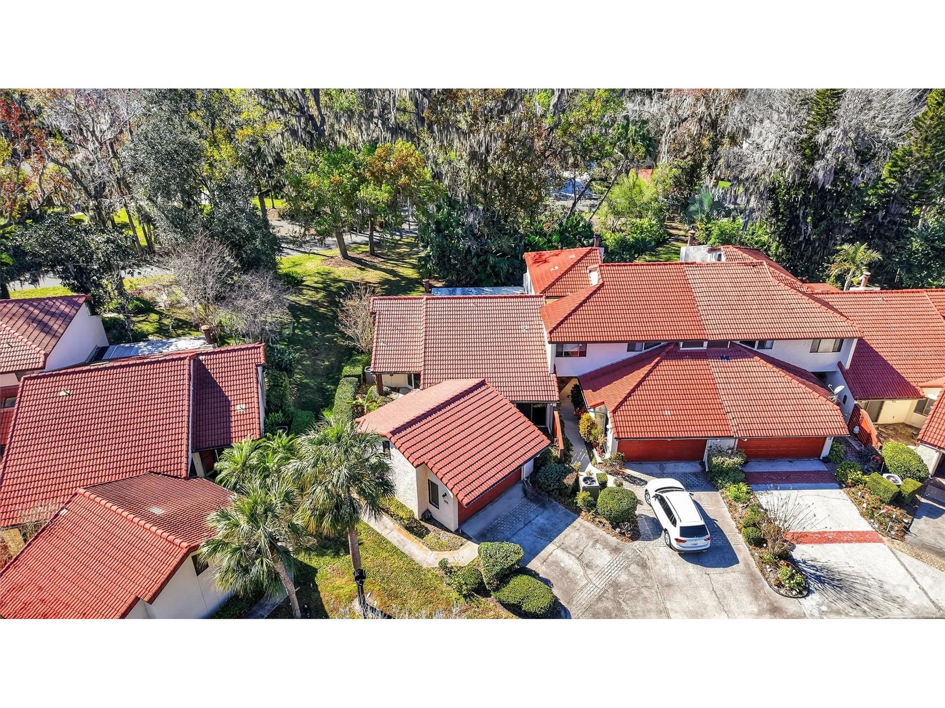 301 Clusterwood Drive Yalaha FL 34797 - LAKE HARRIS CHAIN OF LAKES G5107543 image4