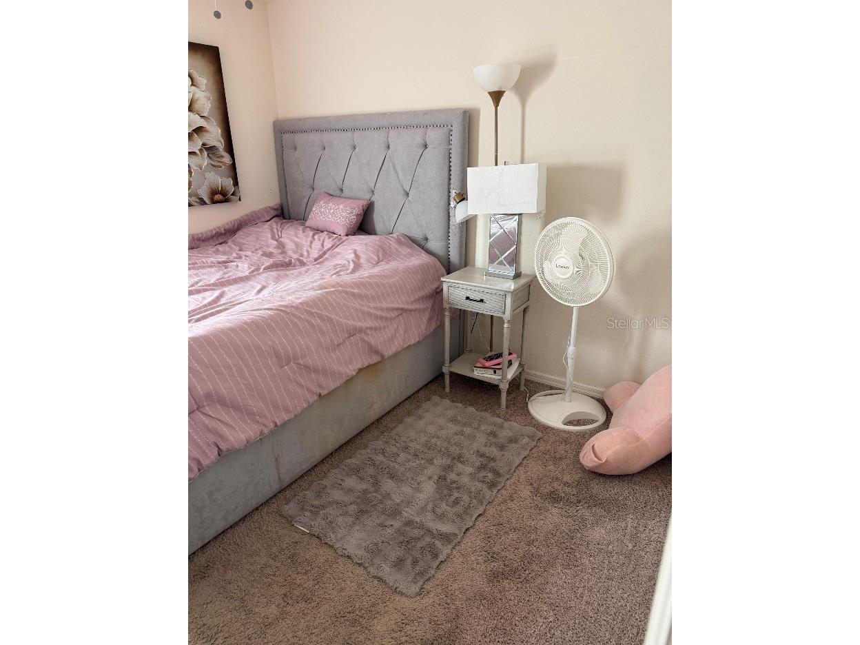 301 Daffodil Lane Poinciana FL 34759 S5145580 image10