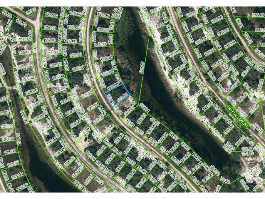 301 Dargen Drive Lake Placid FL 33852 C7474093 image1