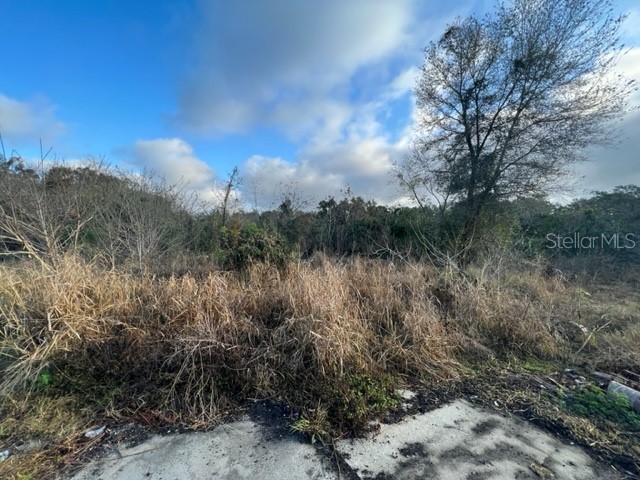 301 E 12th Street Apopka FL 32703 S5083885 image1