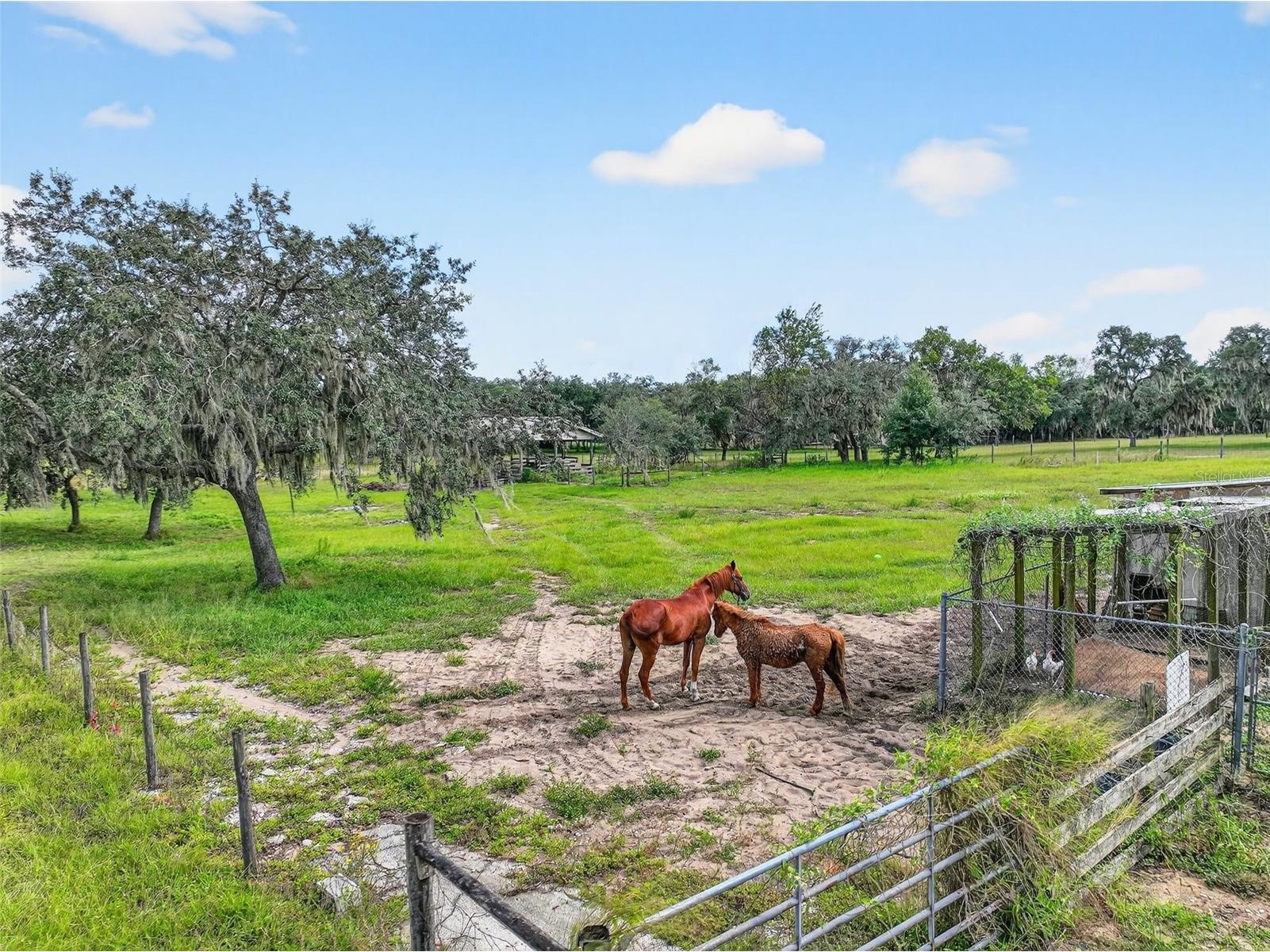 301 H L Smith Road Haines City FL 33844 - LAKE MIDGET S5136050 image51