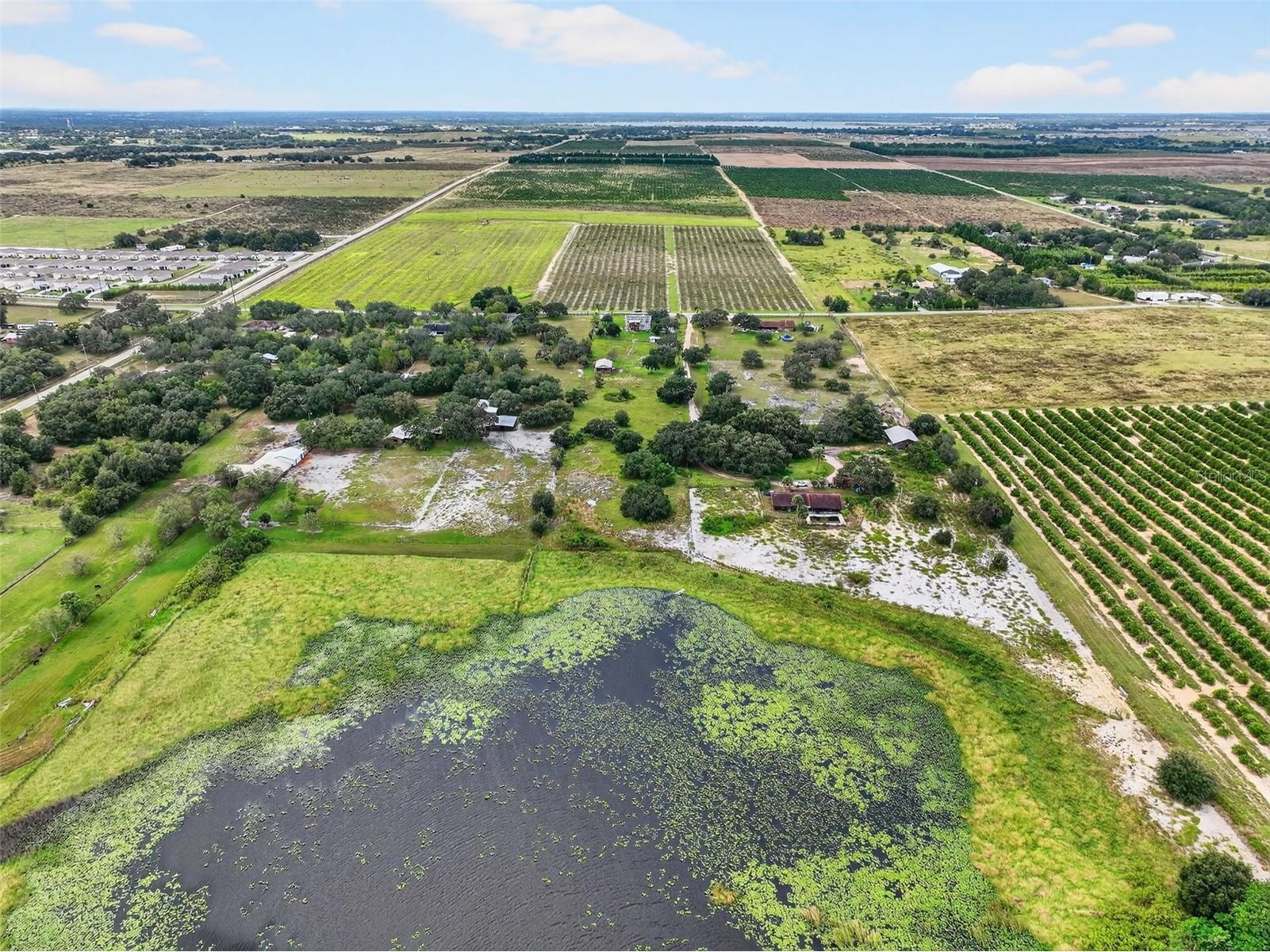 301 H L Smith Road Haines City FL 33844 - LAKE MIDGET S5136050 image56