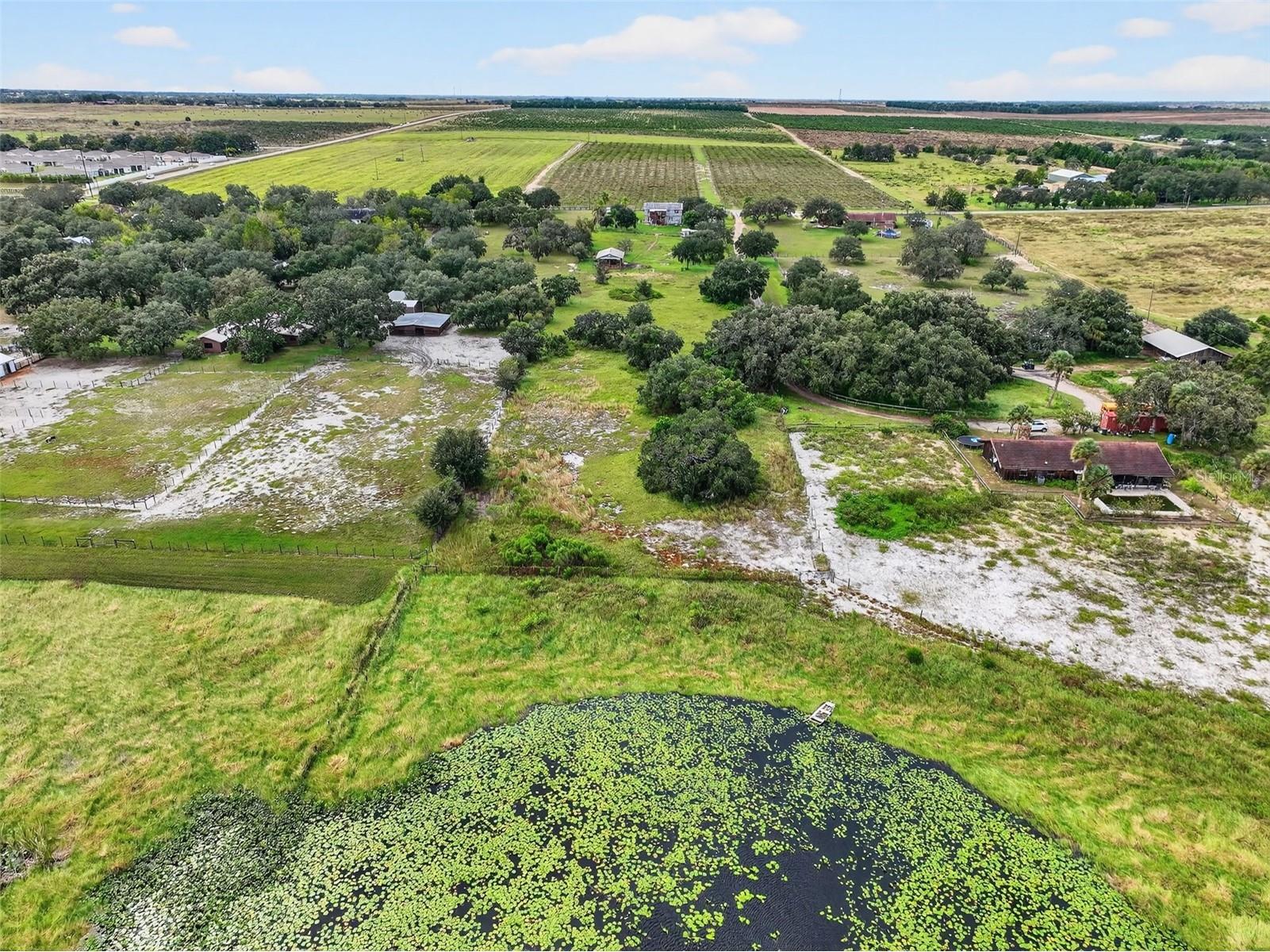 301 H L Smith Road Haines City FL 33844 - LAKE MIDGET S5136050 image58