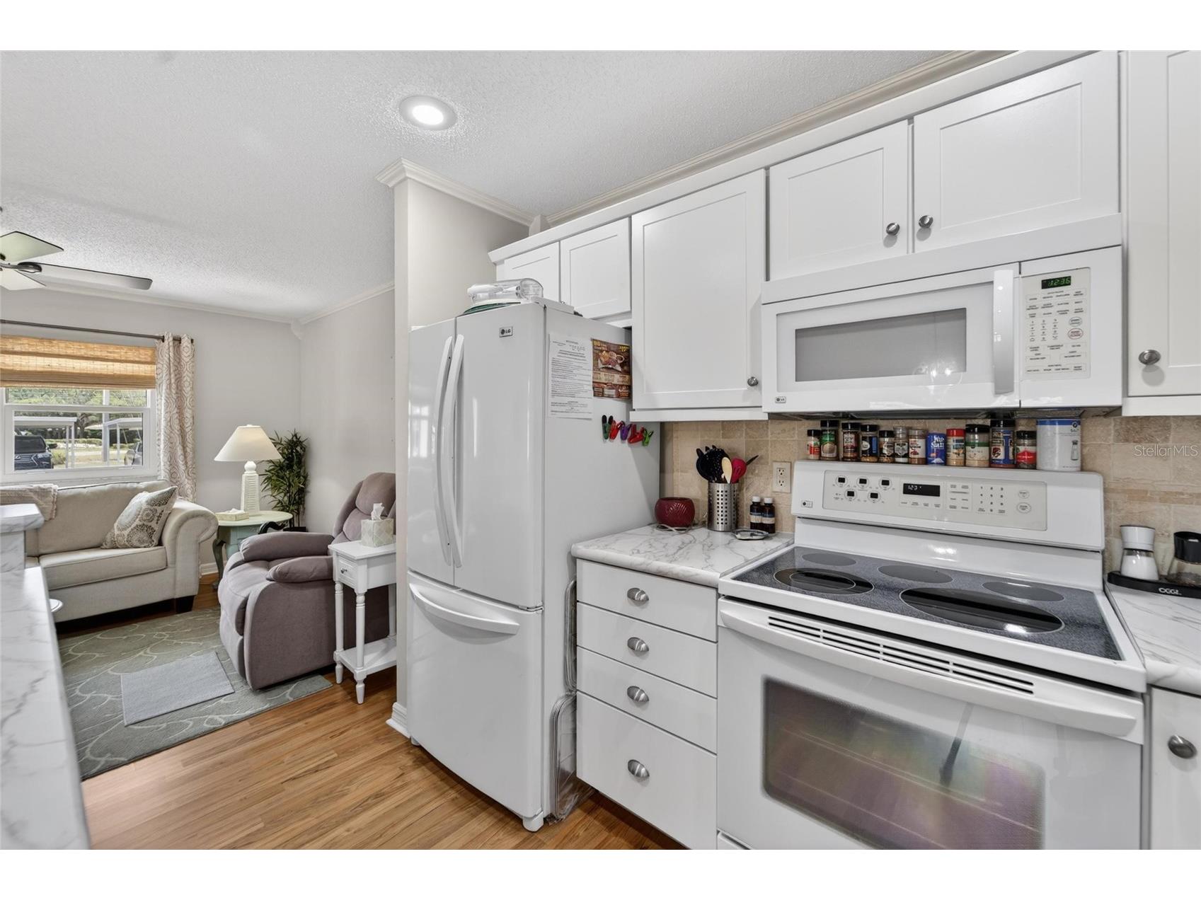 301 Kings Boulevard #138 Sun City Center FL 33573 TB8512092 image12