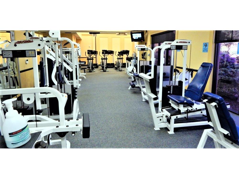 301 Kings Boulevard #138 Sun City Center FL 33573 TB8512092 image46