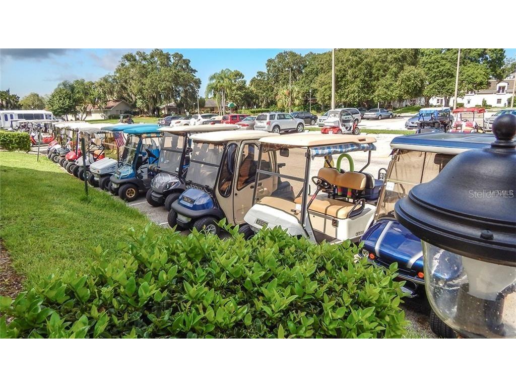 301 Kings Boulevard #138 Sun City Center FL 33573 TB8512092 image58