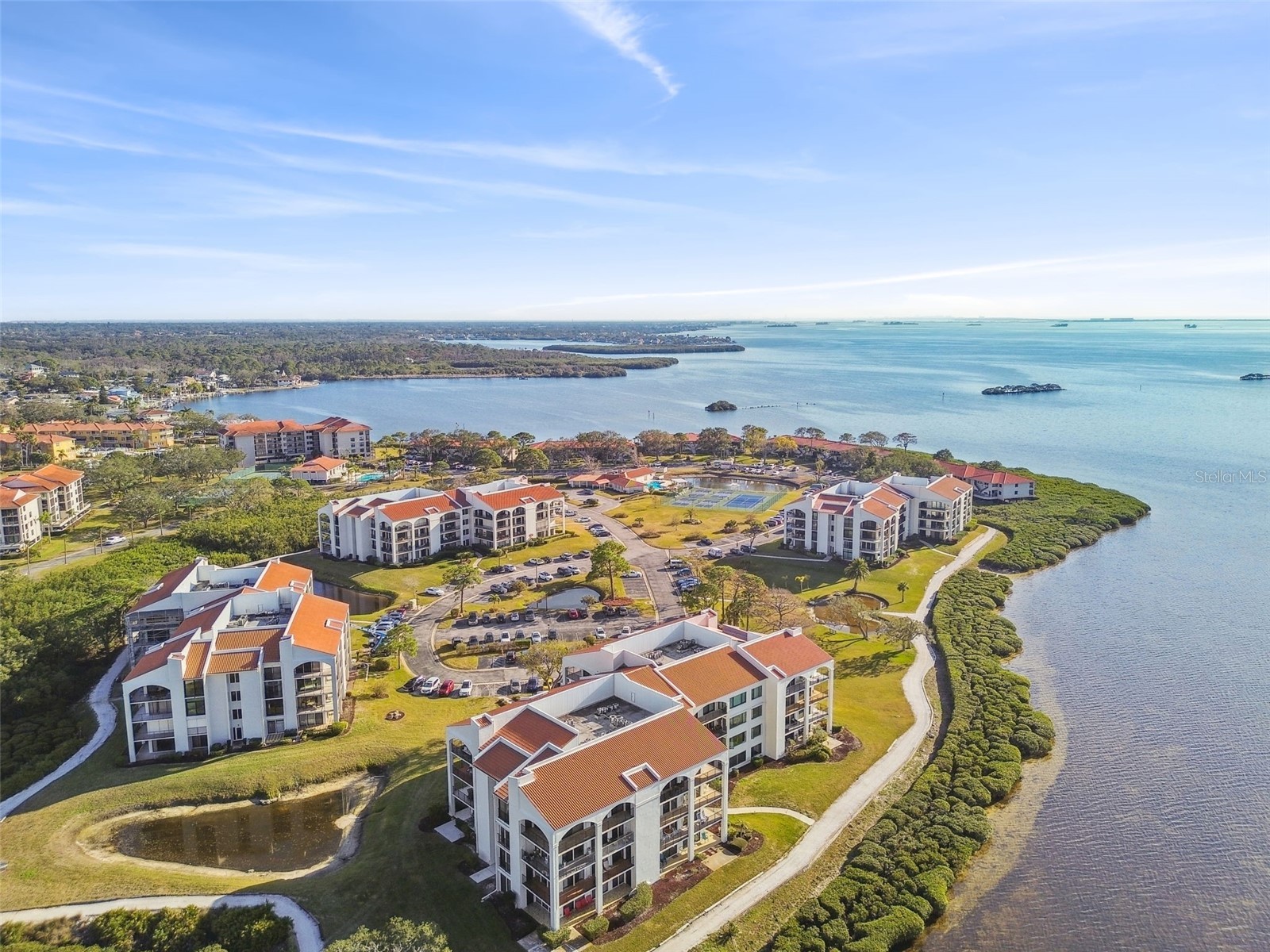 301 Mariner Drive #301 Tarpon Springs FL 34689 TB8469783 image1