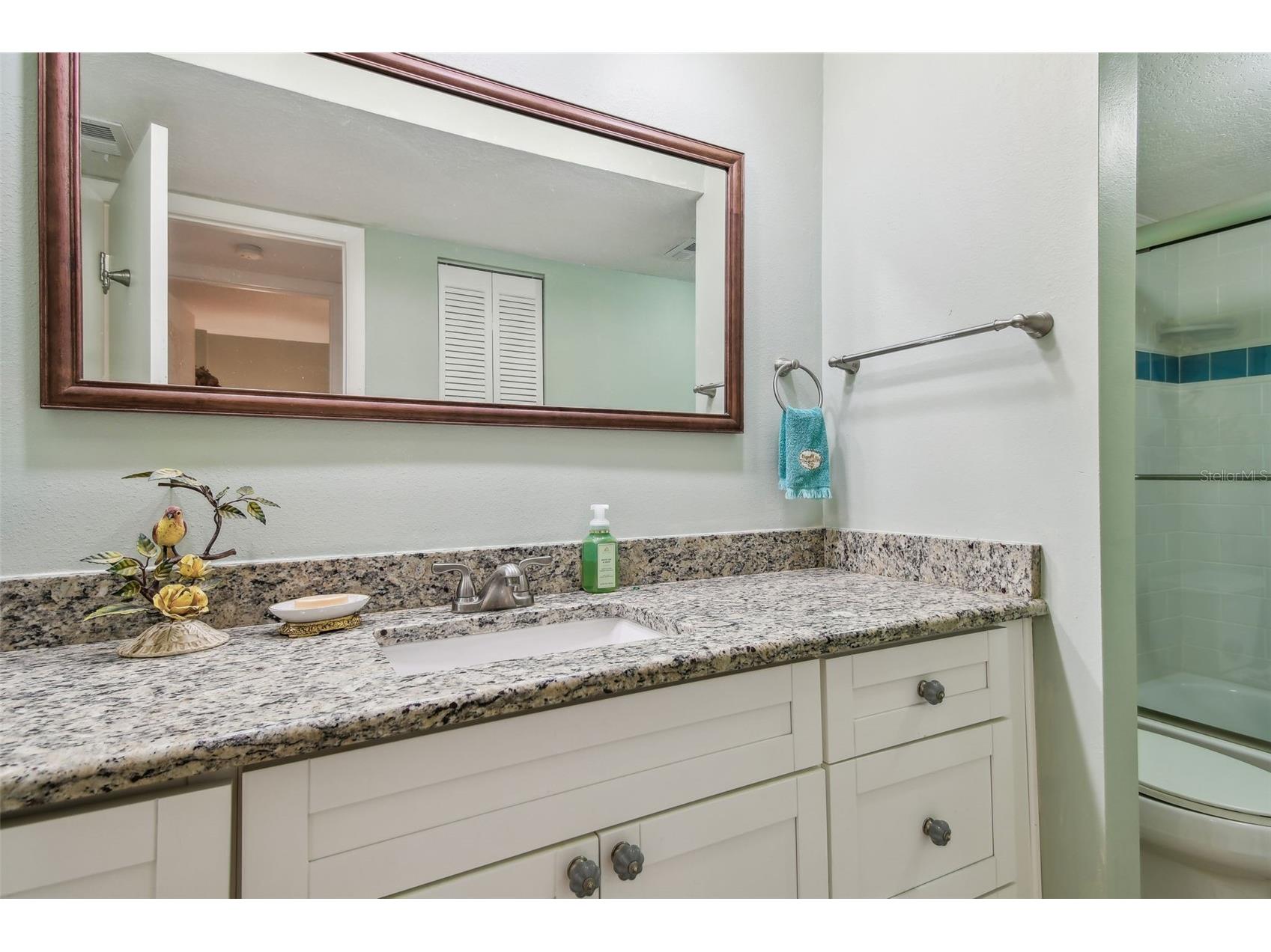 301 Mariner Drive #301 Tarpon Springs FL 34689 TB8469783 image20