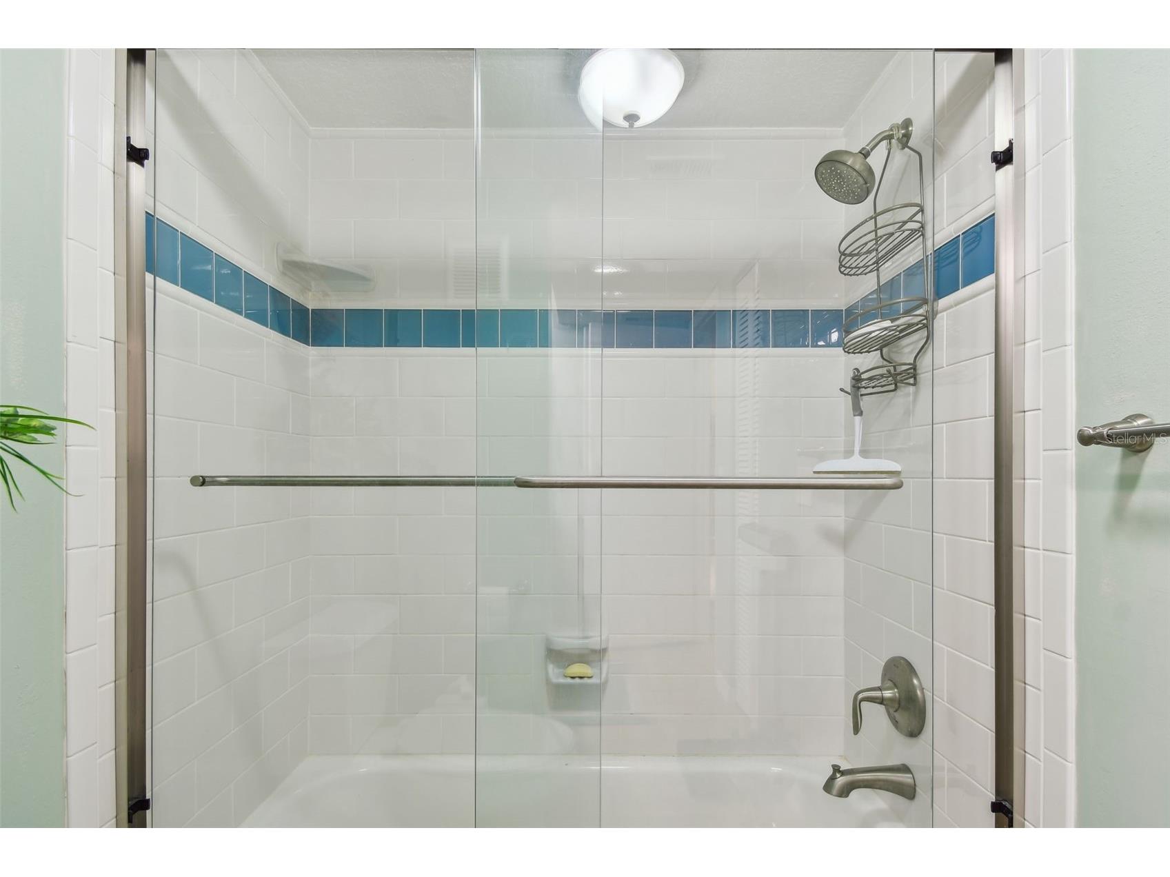301 Mariner Drive #301 Tarpon Springs FL 34689 TB8469783 image21