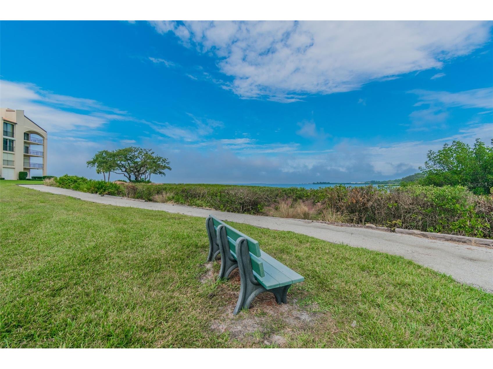 301 Mariner Drive #301 Tarpon Springs FL 34689 TB8469783 image27