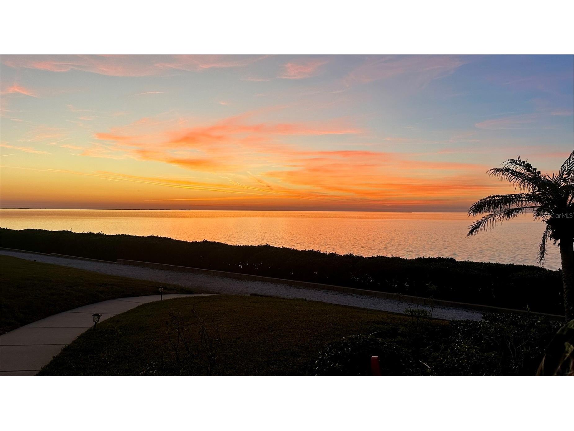 301 Mariner Drive #301 Tarpon Springs FL 34689 TB8469783 image29