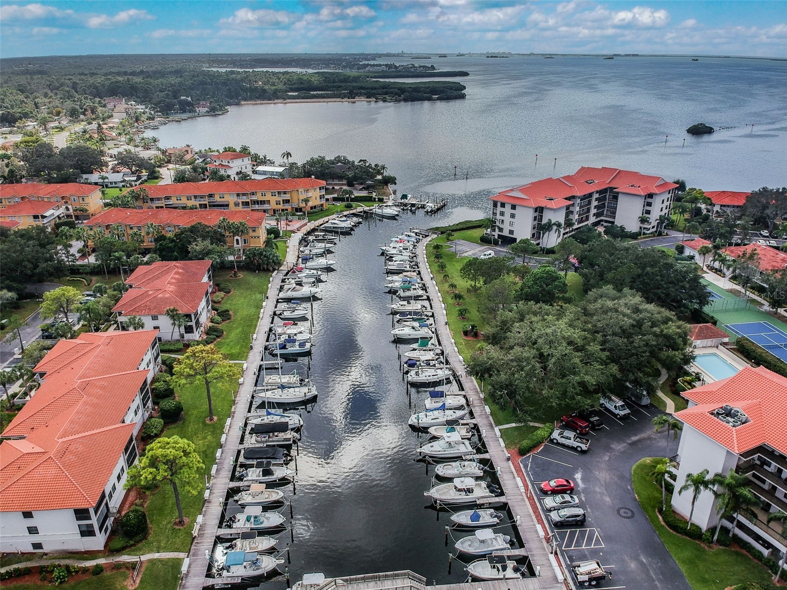 301 Mariner Drive #301 Tarpon Springs FL 34689 TB8469783 image34