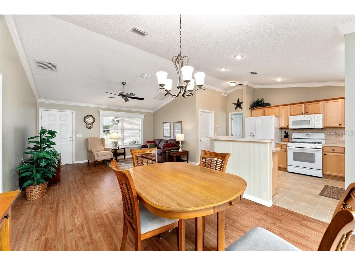 301 Pacolet Terrace The Villages FL 32162 G5101482 image13