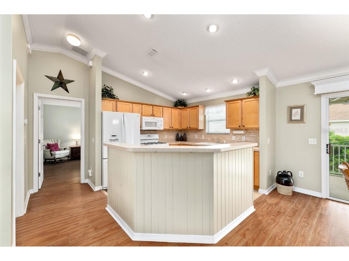 301 Pacolet Terrace The Villages FL 32162 G5101482 image14