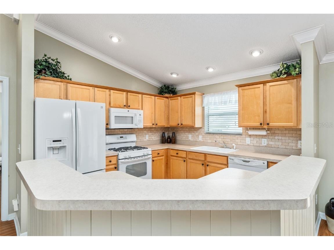 301 Pacolet Terrace The Villages FL 32162 G5101482 image15