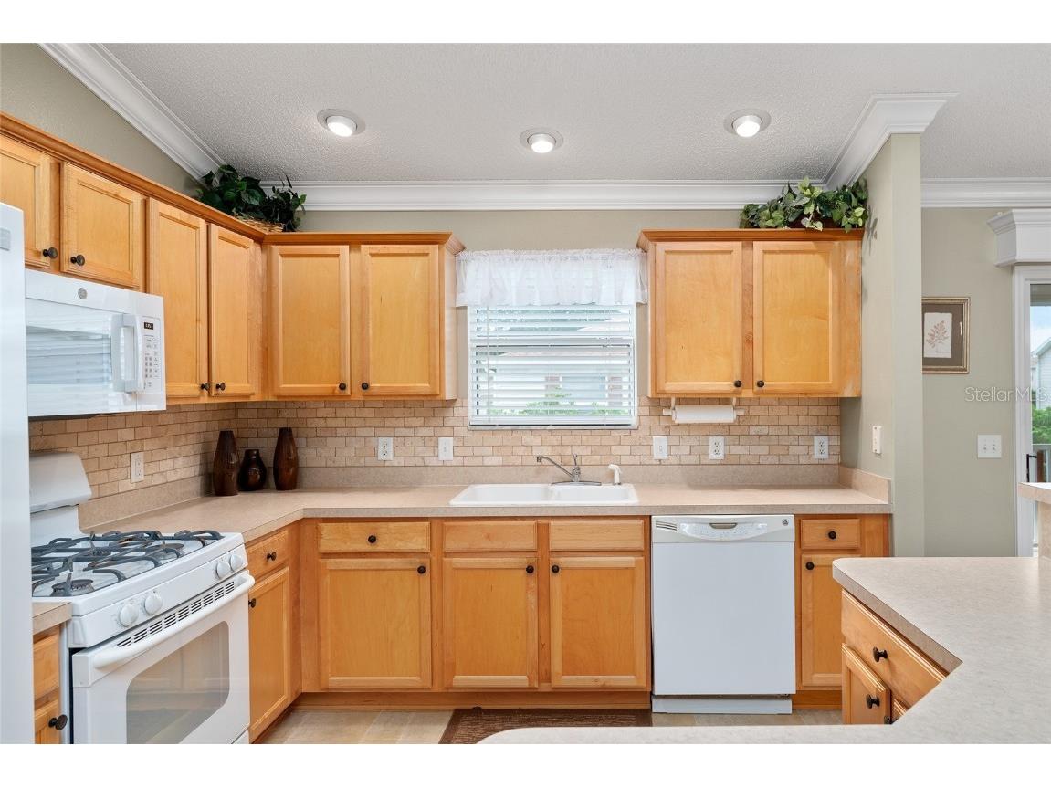 301 Pacolet Terrace The Villages FL 32162 G5101482 image16