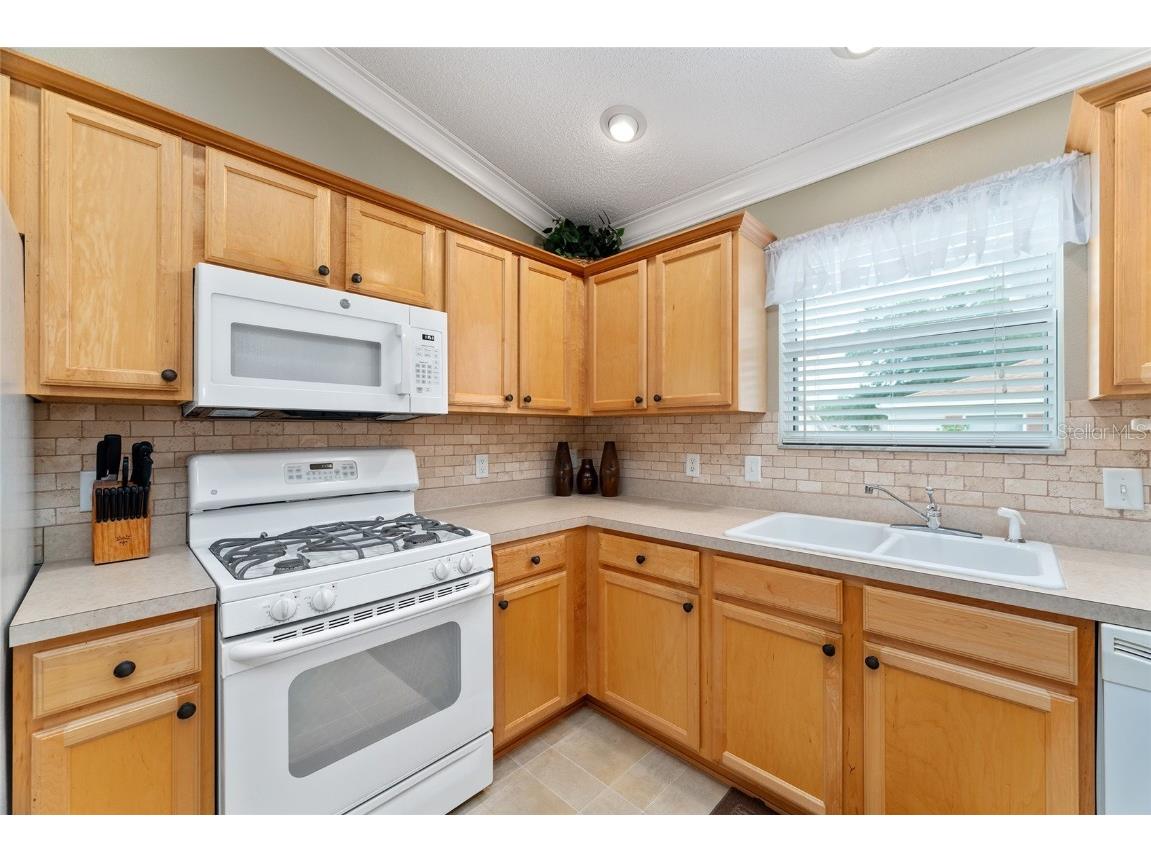 301 Pacolet Terrace The Villages FL 32162 G5101482 image18