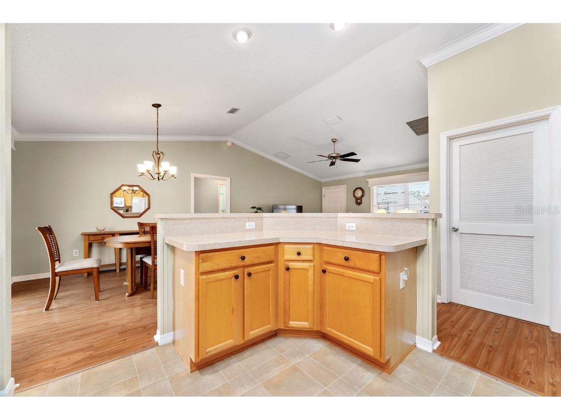 301 Pacolet Terrace The Villages FL 32162 G5101482 image19