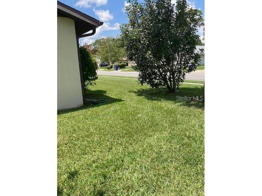 301 Paradise Lane Edgewater FL 32132 V4943897 image21