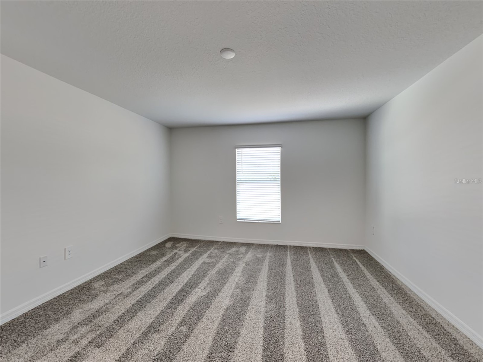 301 Piave Street Haines City FL 33844 O6425626 image5