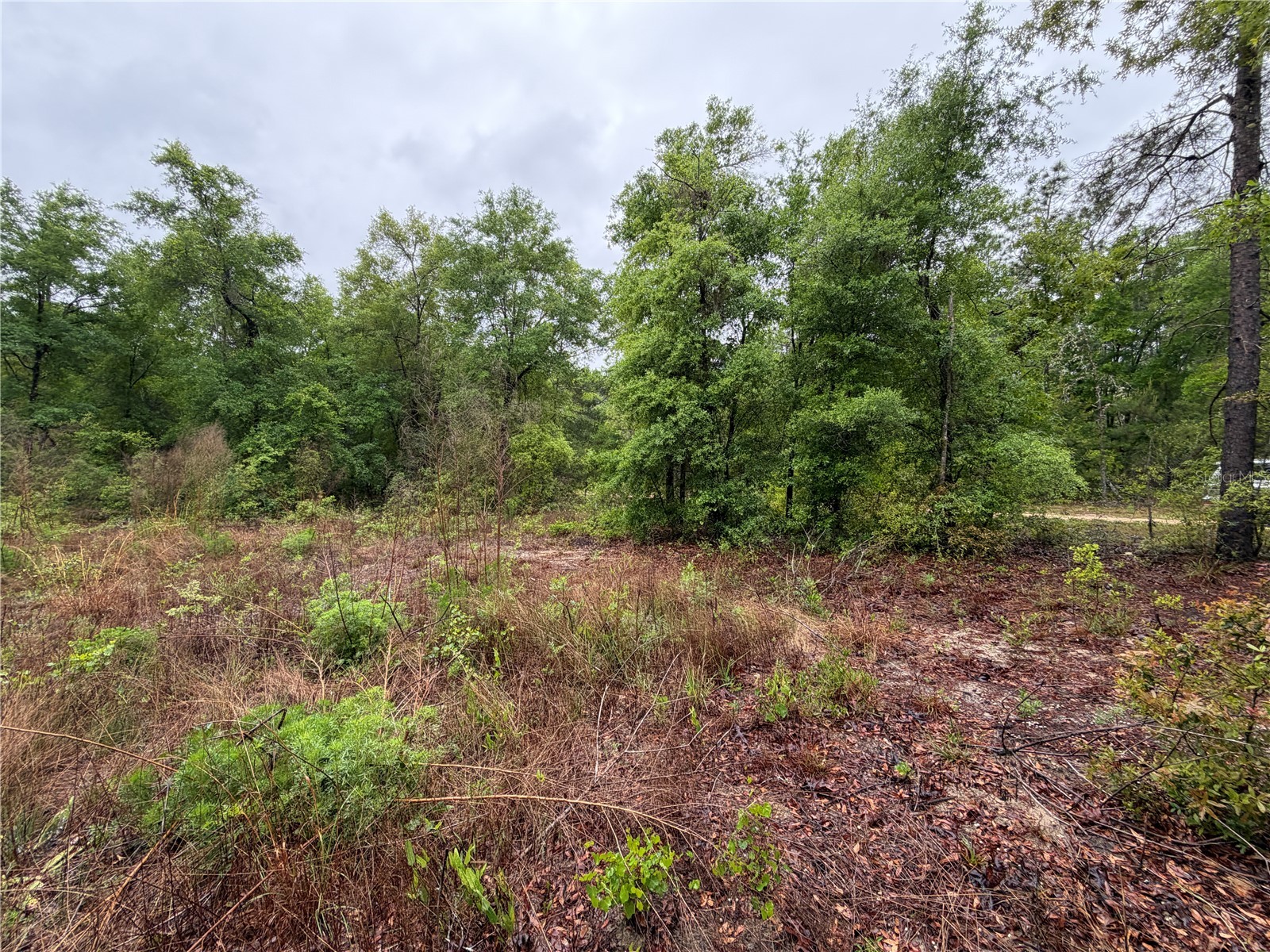 301 Rainbow Drive Hawthorne FL 32640 GC539236 image6