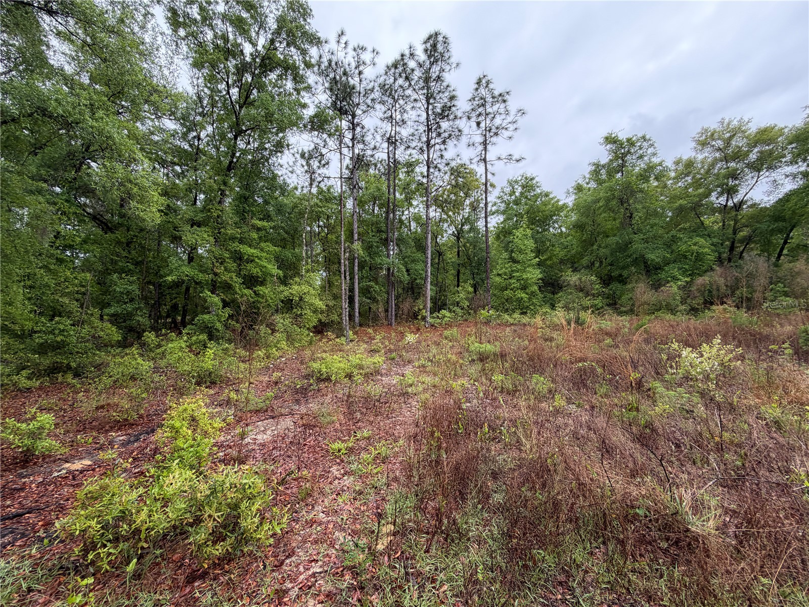 301 Rainbow Drive Hawthorne FL 32640 GC539236 image7