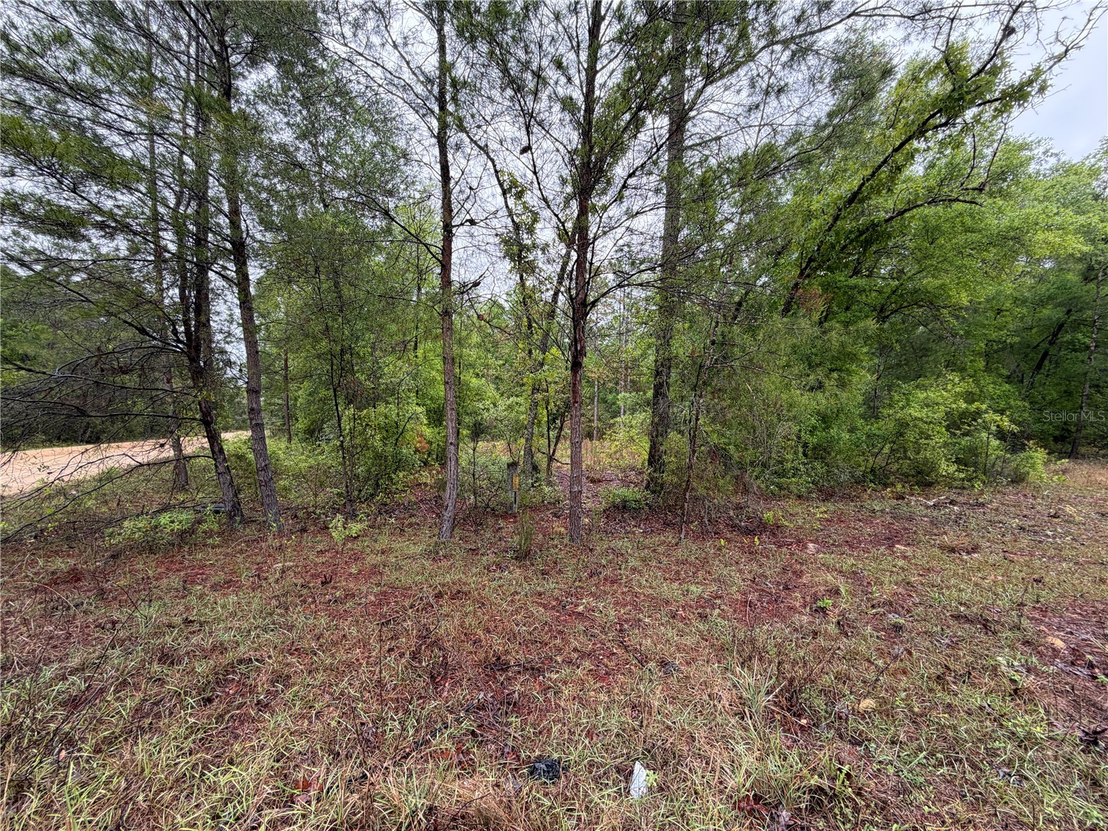 301 Rainbow Drive Hawthorne FL 32640 GC539236 image8