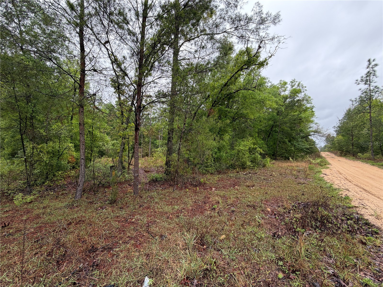 301 Rainbow Drive Hawthorne FL 32640 GC539236 image9