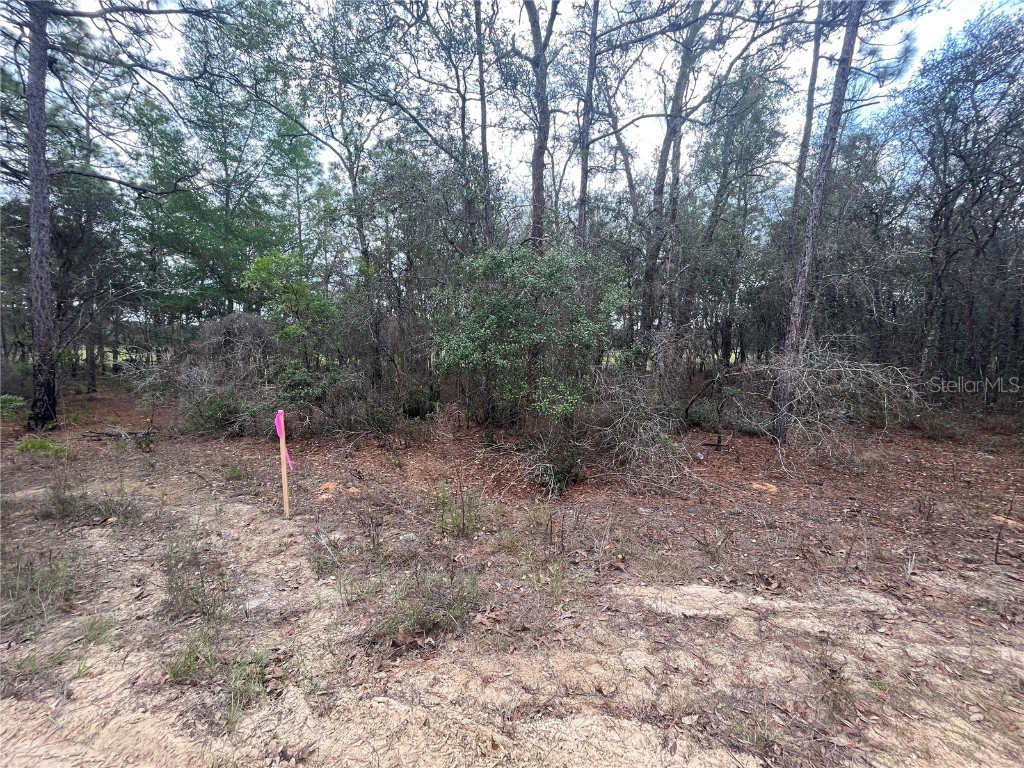 301 S Crestview Avenue Inverness FL 34452 OK222765 image1