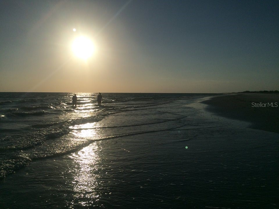 301 S Gulf Boulevard #25 Placida FL 33946 - GULF OF MEXICO/AMERICA D6145792 image56