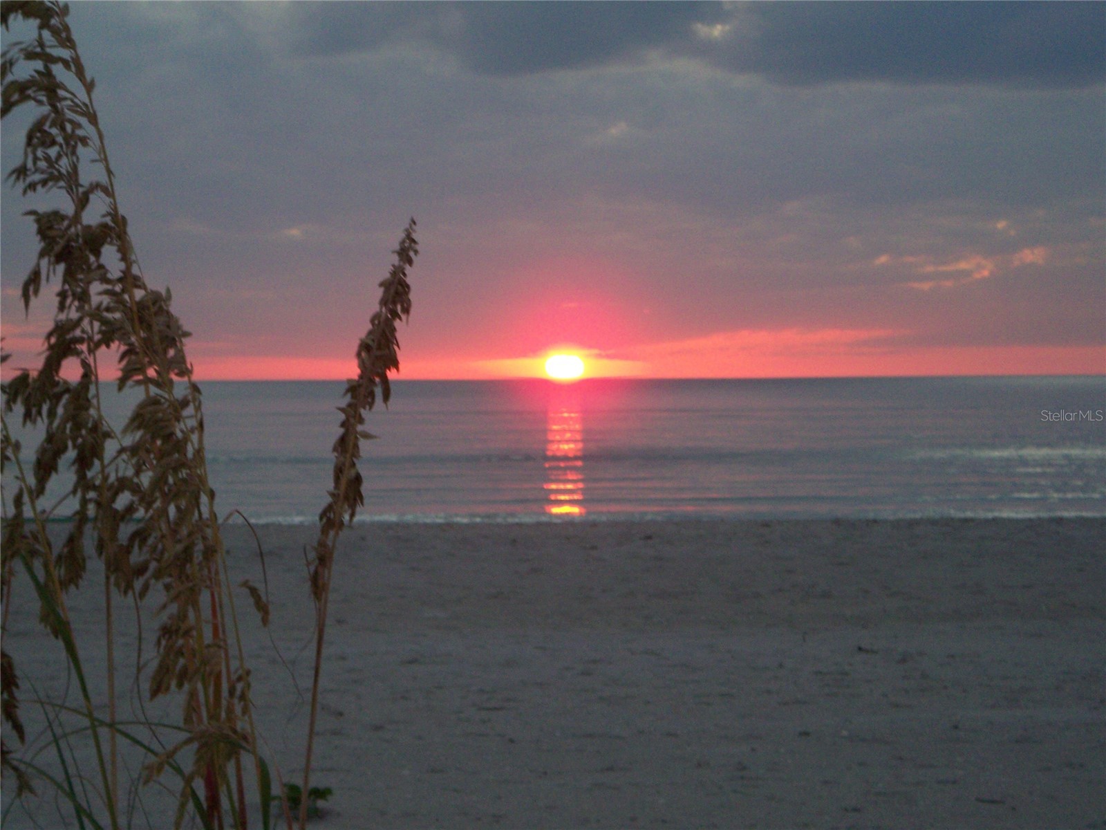 301 S Gulf Boulevard #25 Placida FL 33946 - GULF OF MEXICO/AMERICA D6145792 image61