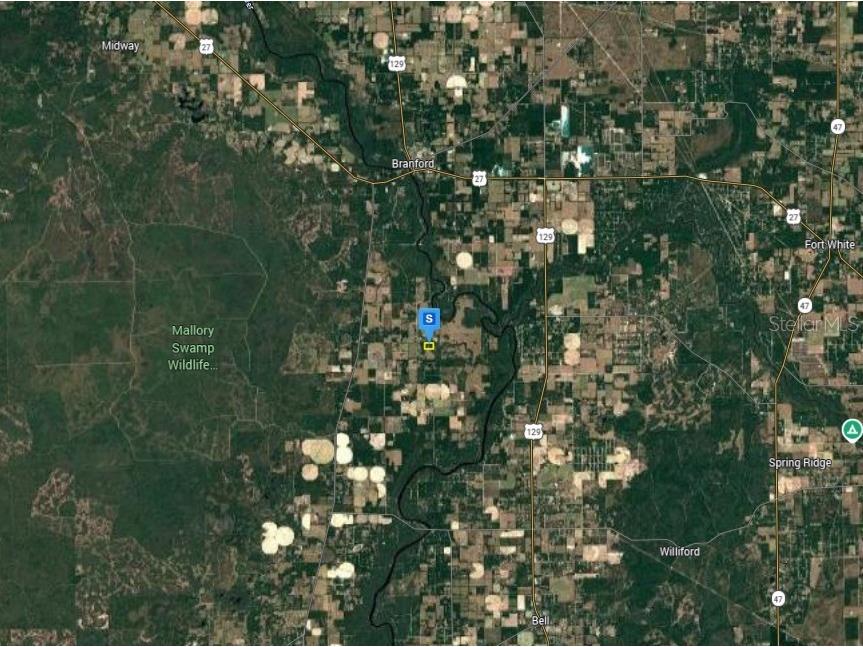 301 SE Cheetah Lane Branford FL 32008 A4697596 image3
